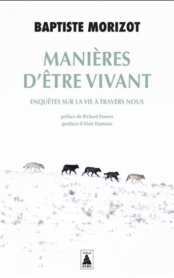 Manières d&#39;être vivant : enquêtes sur la vie à travers nous - BAPTISTE MORIZOT