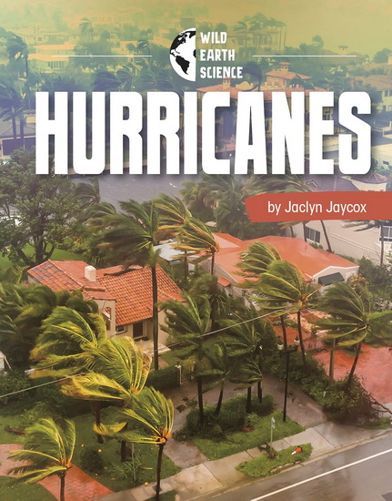 Hurricanes - GOLRIZ GOLKAR