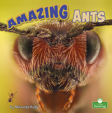 Amazing Ants - MIRANDA KELLY