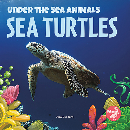 Sea Turtles - AMY CULLIFORD