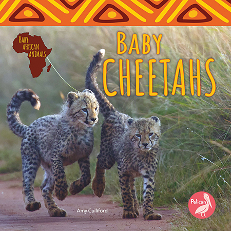 Baby Cheetahs - AMY CULLIFORD