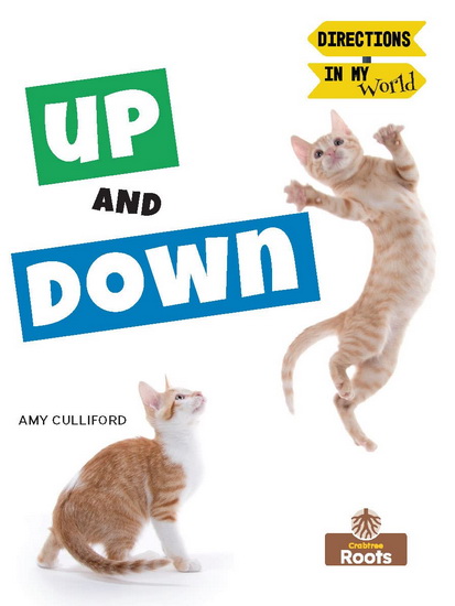 Up and Down - AMY CULLIFORD