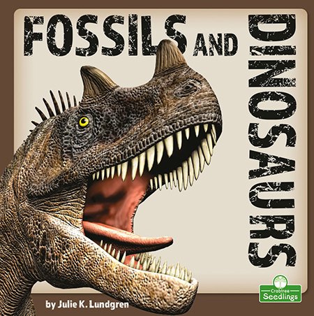 Fossils and Dinosaurs - JULIE K LUNDGREN