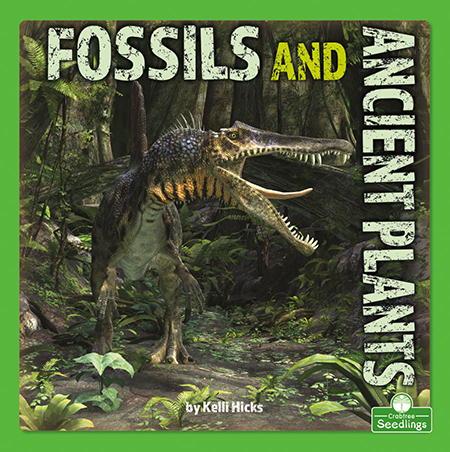 Fossils and Ancient Plants - KELLI HICKS