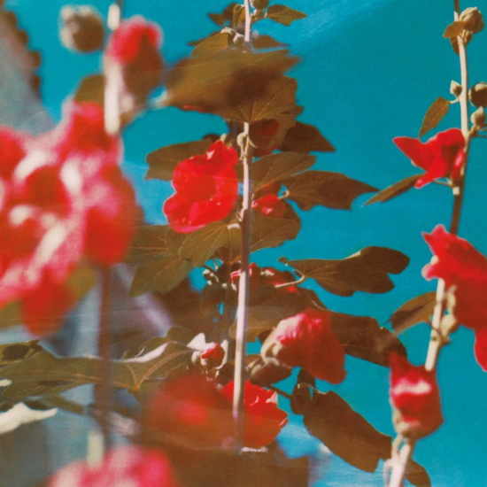 Breathe (2 Vinyle) - CHAD LAWSON