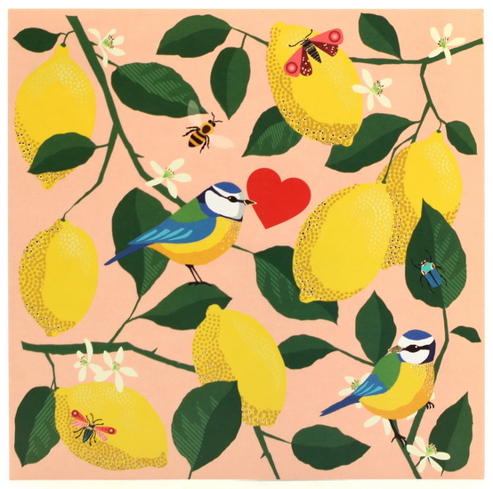 Citrons et oiseaux