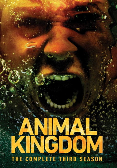 Animal Kingdom: Season 3 - JONATHAN LISCO