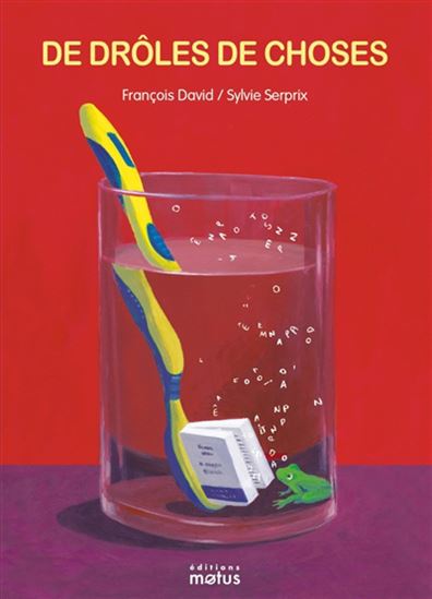 De drôles de choses - FRANÇOIS DAVID - SYLVIE SERPRIX