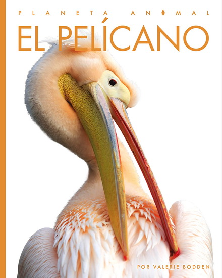 El pelicano - VALERIE BODDEN