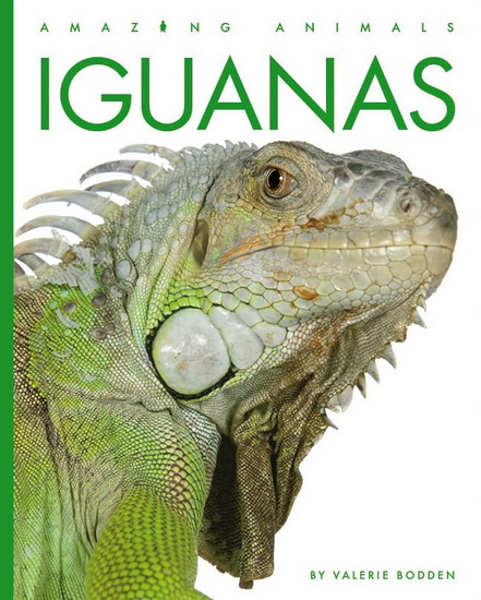 Iguanas - VALERIE BODDEN