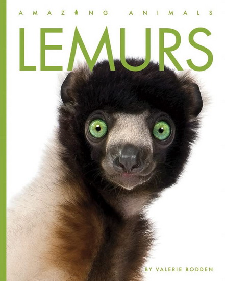 Lemurs - VALERIE BODDEN