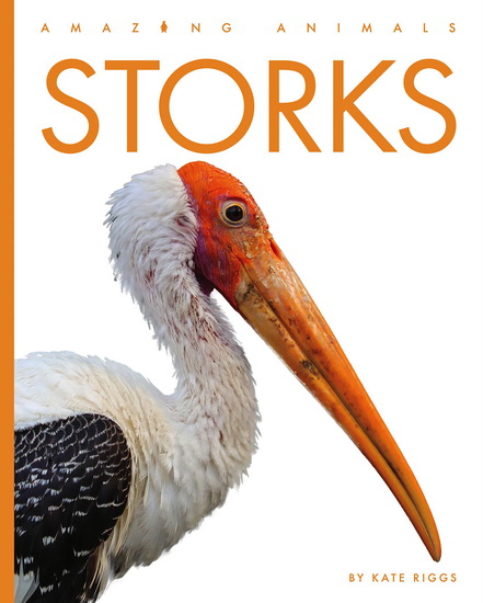 Storks - KATE RIGGS