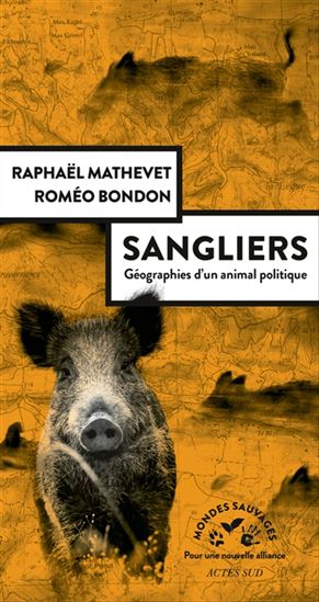 Sangliers : géographies d&#39;un animal politique - RAPHAËL MATHEVET - ROMÉO BONDON