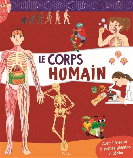 Le Corps humain - COLLECTIF