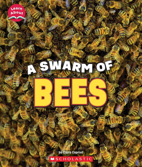 A Swarm of Bees (Learn About: Animals) - CLAIRE CAPRIOLI