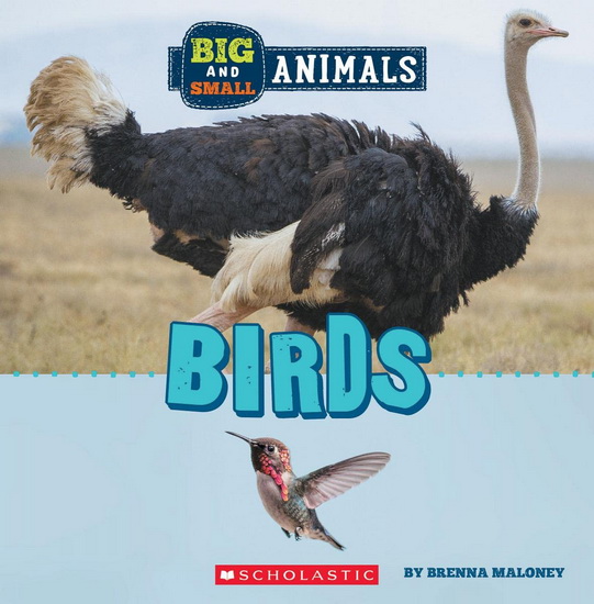 Big and Small: Birds (Wild World) - BRENNA MALONEY