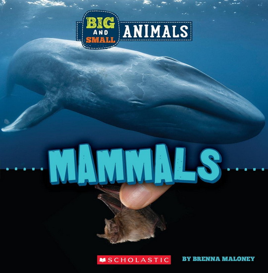 Big and Small: Mammals (Wild World) - BRENNA MALONEY