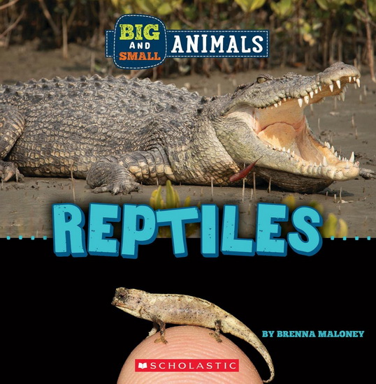 Big and Small: Reptiles (Wild World) - BRENNA MALONEY