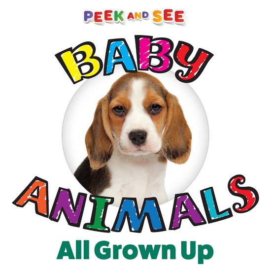 Peek and See Baby Animals All Grown Up - COLLECTIF
