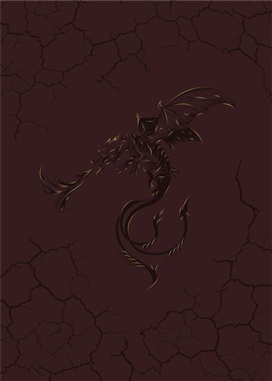 Livre des ombres vierges : couverture dragon - COLLECTIF