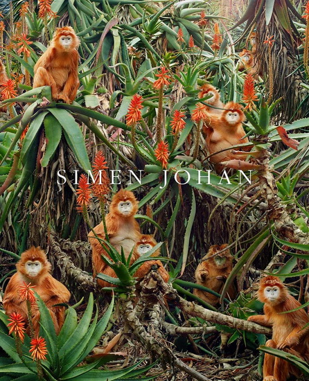 Simen Johan - SIMEN YOHAN