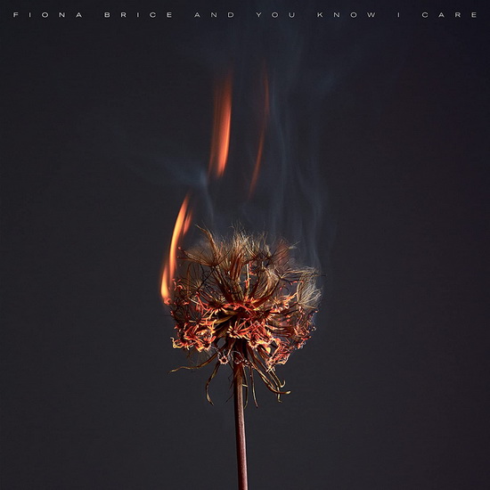 And You Know I Care - FIONA BRICE
