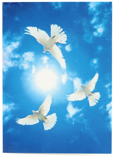 Toutes nos pensées vous accompagnent en ces moments difficiles. Sincères condoléances