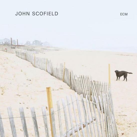 John Scofield (Vinyle) - SCOFIELD JOHN
