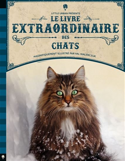 Le Livre extraordinaire des chats - BARBARA TAYLOR - VAL WALERCZUK