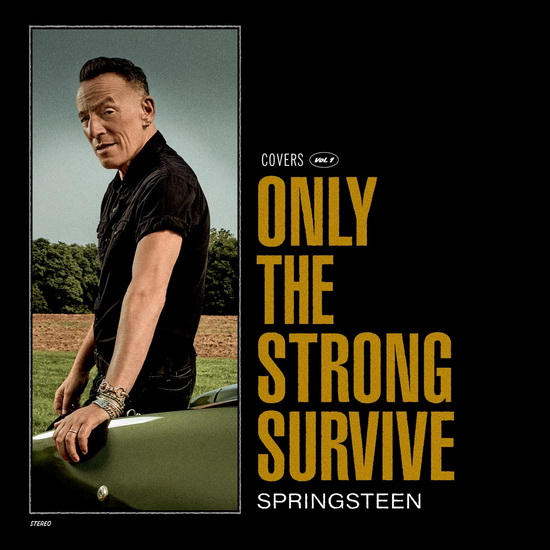 Only The Strong Survive (Vinyle) - BRUCE SPRINGSTEEN