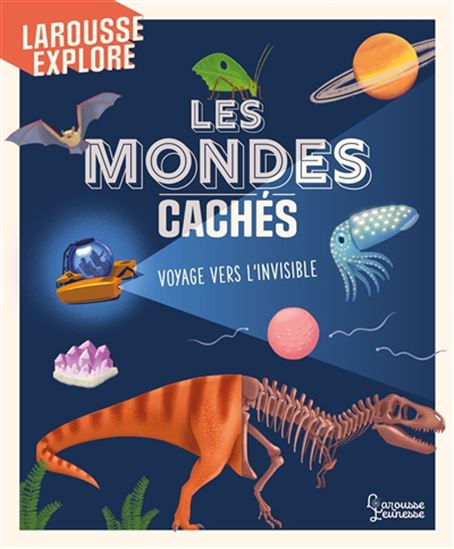 Les Mondes cachés : voyage vers l&#39;invisible - JESS MC GEACHIN
