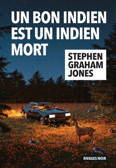 Un bon Indien est un Indien mort - STEPHEN GRAHAM JONES