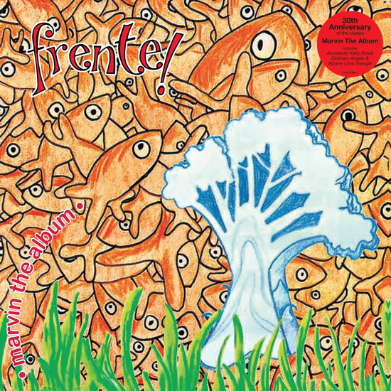Marvin The Album (Vinyle) - FRENTE