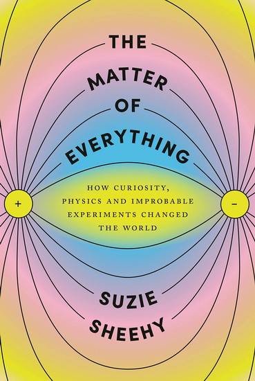 The Matter of Everything : How Curiosity, Physics, and Improbable Experiments Changed the World - SUZIE SHEEHY