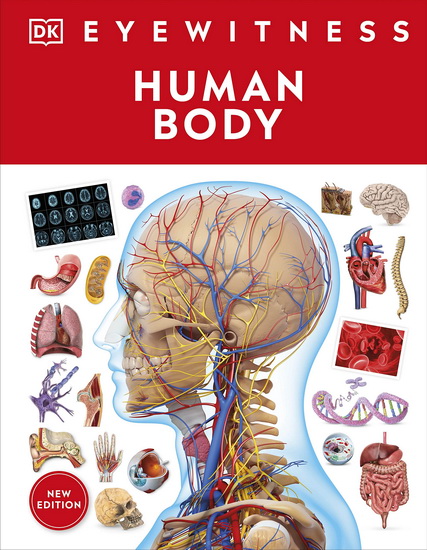 Eyewitness Human Body - COLLECTIF