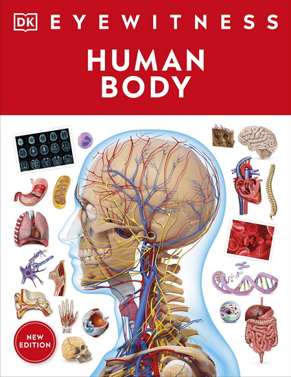 Eyewitness Human Body - COLLECTIF