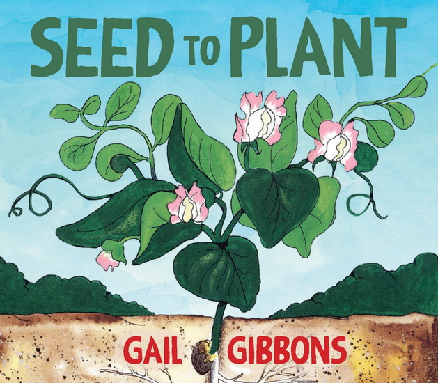 Seed to Plant - GAIL GIBBONS