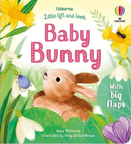 Little Lift and Look: Baby Bunny - ANNA MILBOURNE