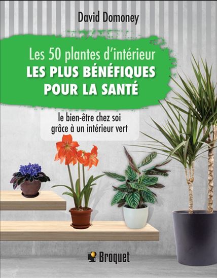 Les 50 plantes d&#39;intérieur les plus bénéfiques pour la santé - DAVID DOMONEY