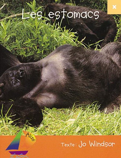 Les Estomacs N. éd. - JO WINDSOR
