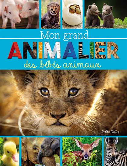 Mon grand animalier des bébés animaux - MARIE-ÈVE CÔTÉ