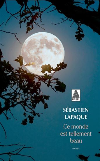 Ce monde est tellement beau - SÉBASTIEN LAPAQUE