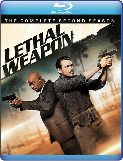 Lethal Weapon: Season 2 (Blu-ray) - MATTHEW MILLER