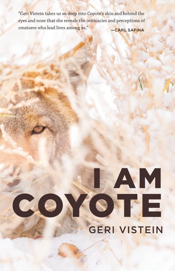 I Am Coyote - GERI VISTEIN