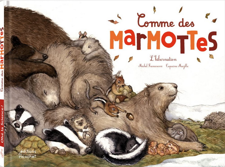 Comme des marmottes : l&#39;hibernation - MICHEL FRANCESCONI - CAPUCINE MAZILLE