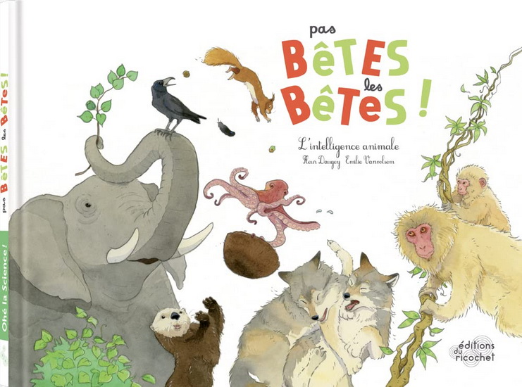 Pas bêtes les bêtes ! : l&#39;intelligence animale N. éd. - FLEUR DAUGEY - EMILIE VANVOLSEM