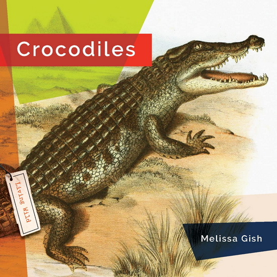 Crocodiles - MELISSA GISH