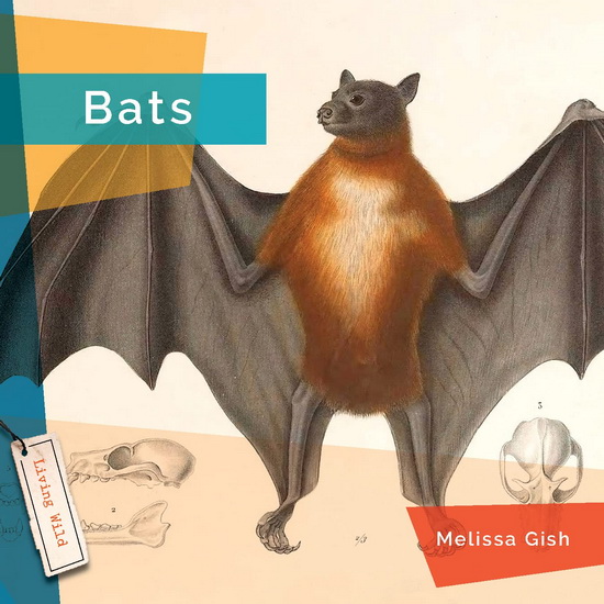Bats - MELISSA GISH