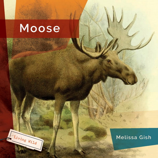 Moose - MELISSA GISH