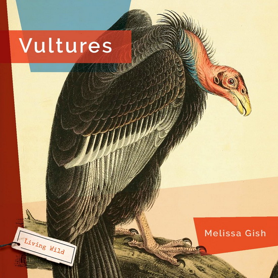 Vultures - MELISSA GISH